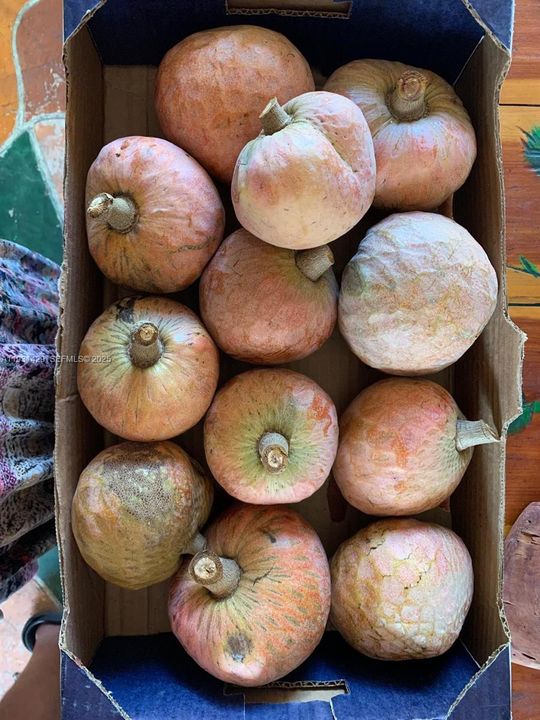 For Sale: $845,000 (4 beds, 3 baths, 2142 Square Feet)