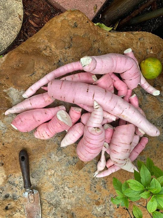 For Sale: $845,000 (4 beds, 3 baths, 2142 Square Feet)