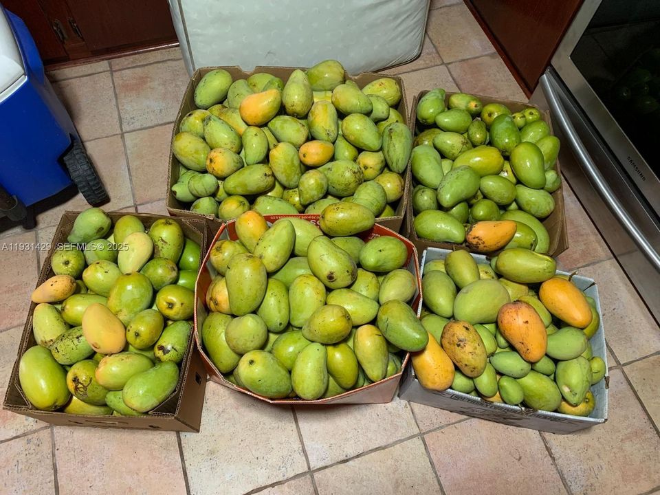 For Sale: $845,000 (4 beds, 3 baths, 2142 Square Feet)