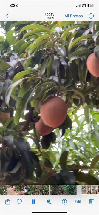 For Sale: $845,000 (4 beds, 3 baths, 2142 Square Feet)