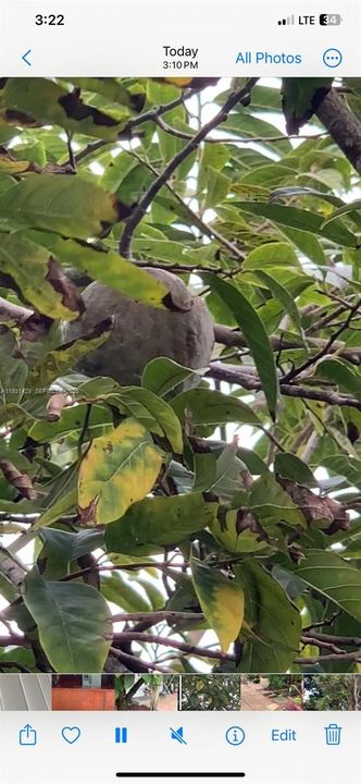 For Sale: $845,000 (4 beds, 3 baths, 2142 Square Feet)