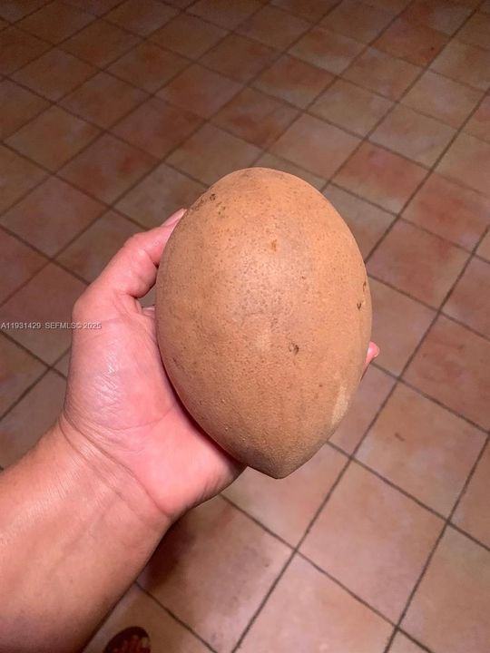 For Sale: $845,000 (4 beds, 3 baths, 2142 Square Feet)