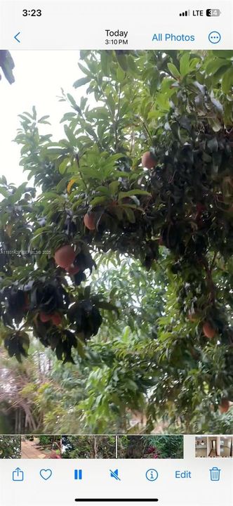 For Sale: $845,000 (4 beds, 3 baths, 2142 Square Feet)