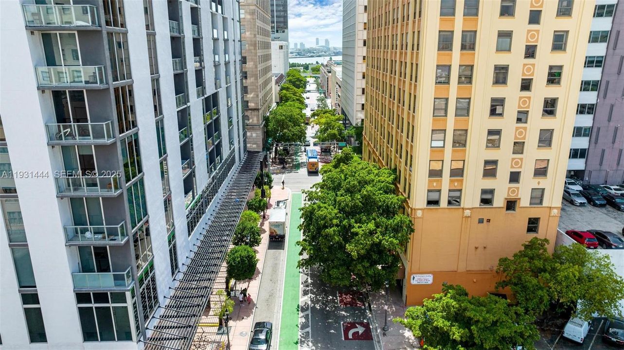 出租: $3,650 (2 贝兹, 2 浴室, 977 平方英尺)