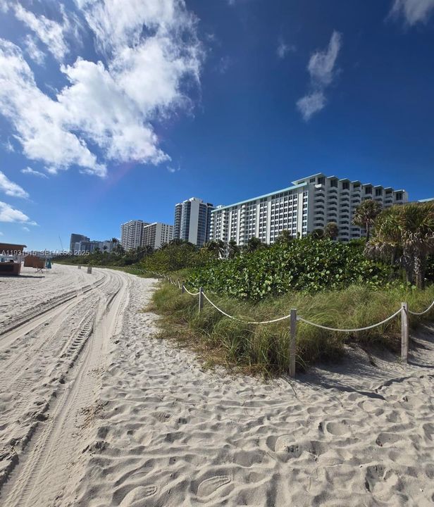 En Renta: $2,100 (1 camas, 1 baños, 566 Pies cuadrados)