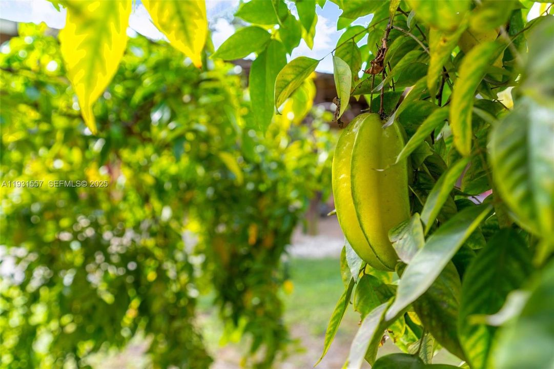 待售: $1,180,000 (1.78 acres)