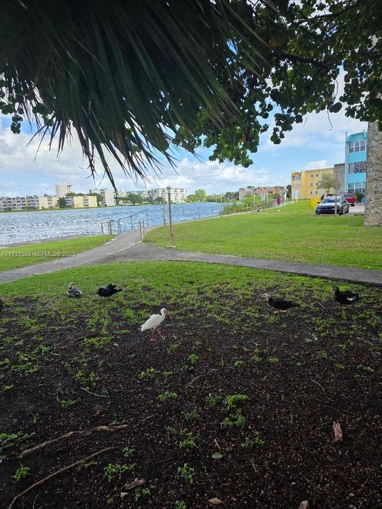 На продажу: $175,000 (2 спален, 2 ванн, 1132 Квадратных фут)