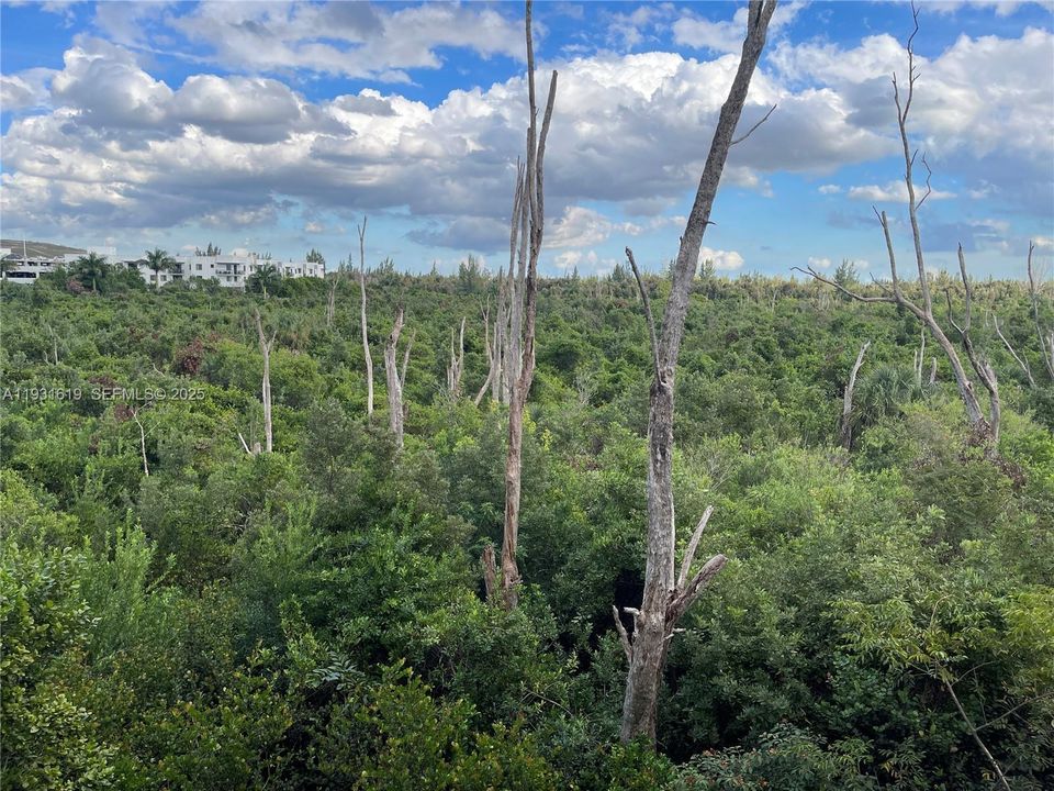 В аренду: $3,000 (2 спален, 2 ванн, 1134 Квадратных фут)