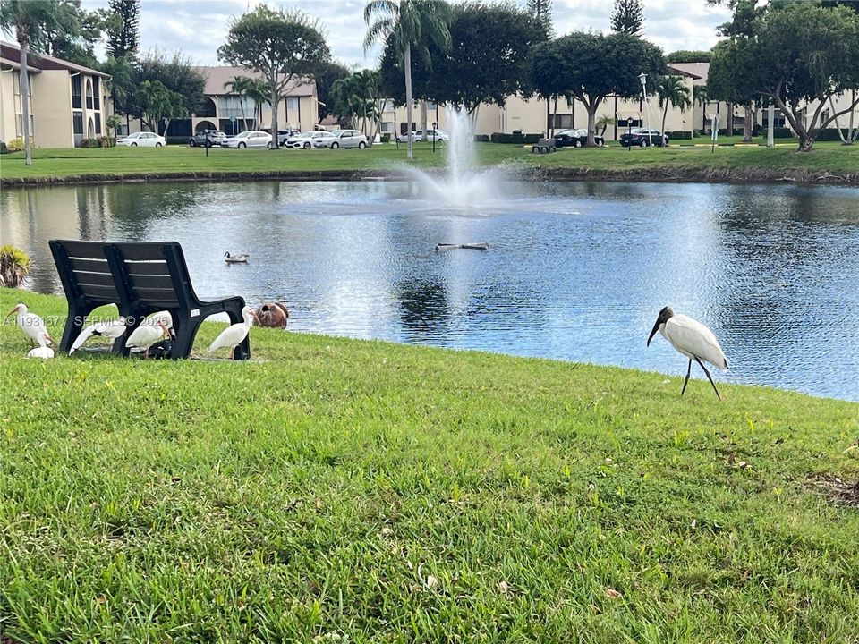 待售: $145,000 (2 贝兹, 1 浴室, 920 平方英尺)