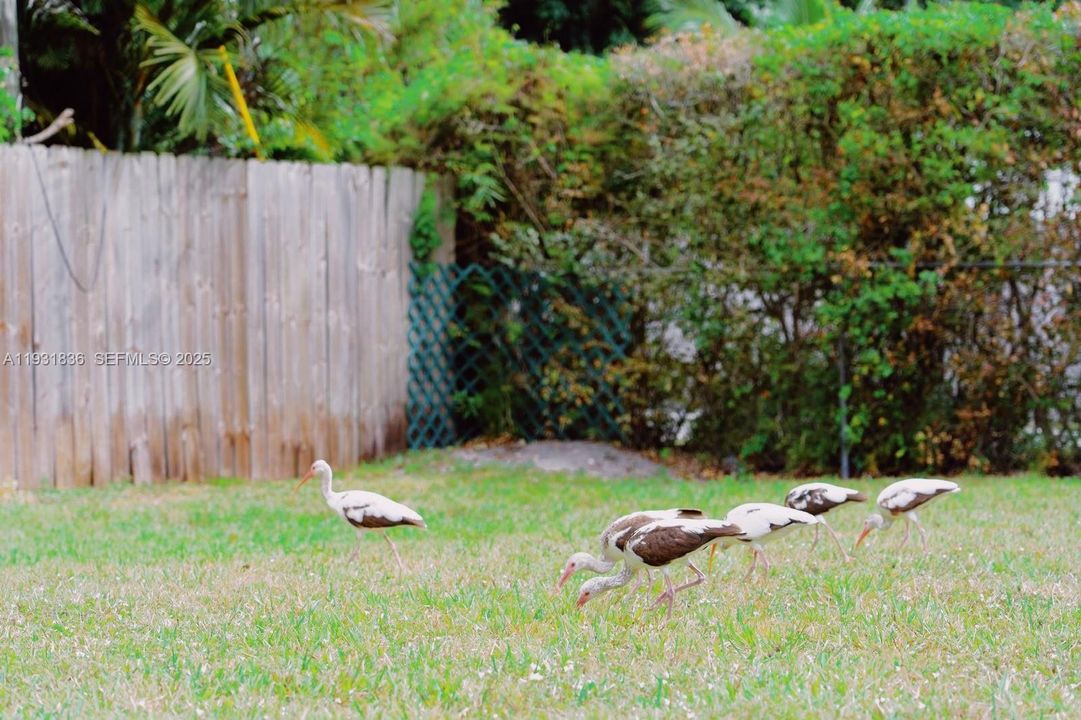 出租: $3,700 (2 贝兹, 1 浴室, 816 平方英尺)