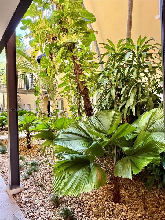 В аренду: $2,150 (1 спален, 1 ванн, 603 Квадратных фут)