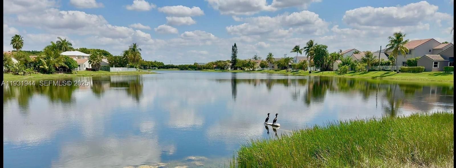 For Rent: $5,500 (4 beds, 2 baths, 2055 Square Feet)