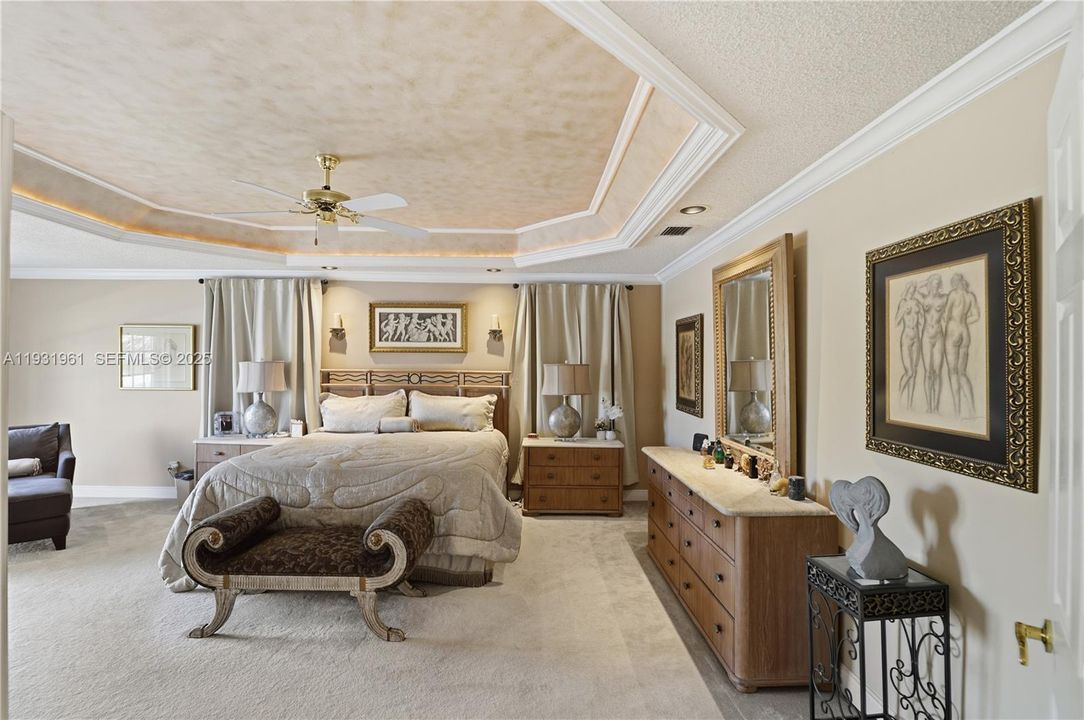 Beautiful Tray Ceilings