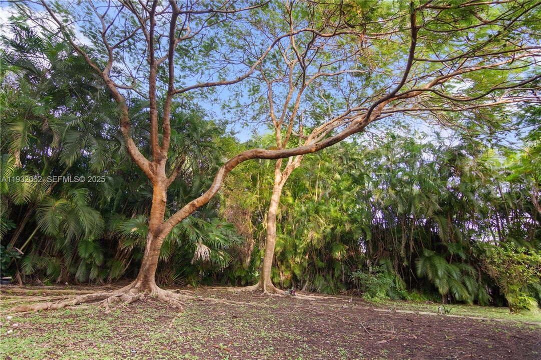 En Venta: $4,100,000 (6 camas, 5 baños, 4841 Pies cuadrados)