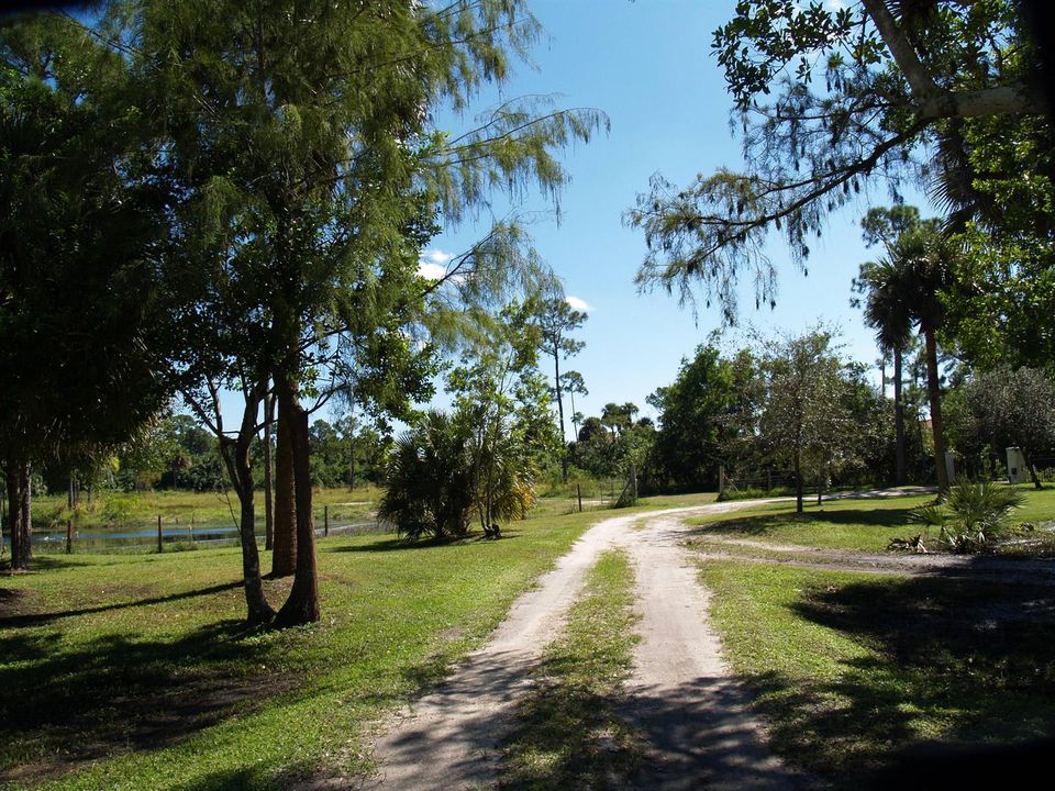 driveway
