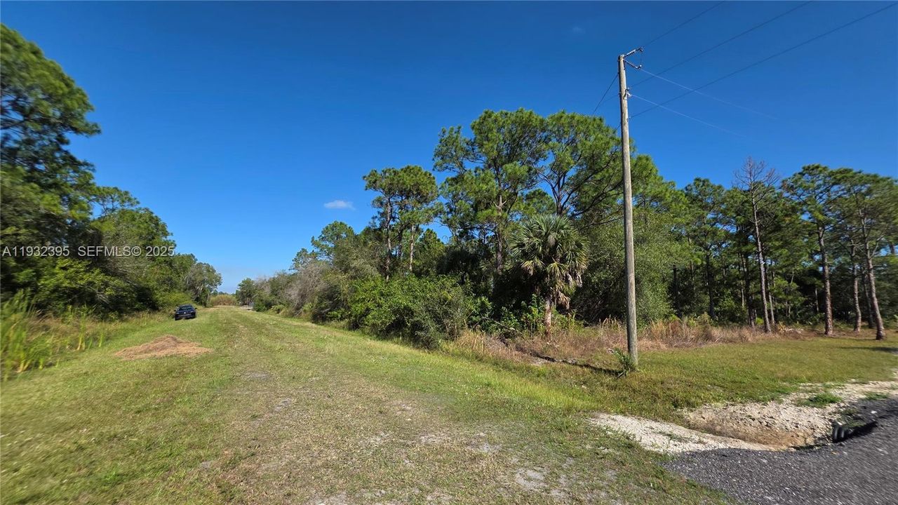 For Sale: $41,000 (1.25 acres)