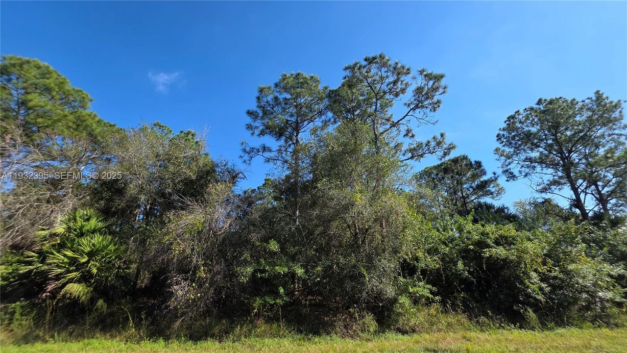 For Sale: $41,000 (1.25 acres)