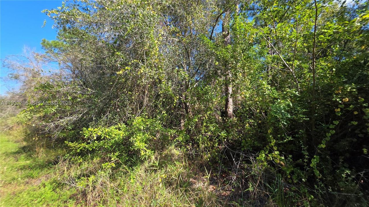 For Sale: $41,000 (1.25 acres)