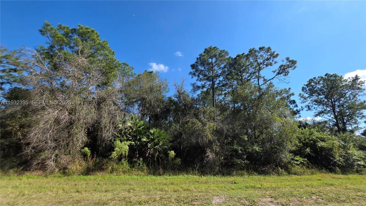 For Sale: $41,000 (1.25 acres)