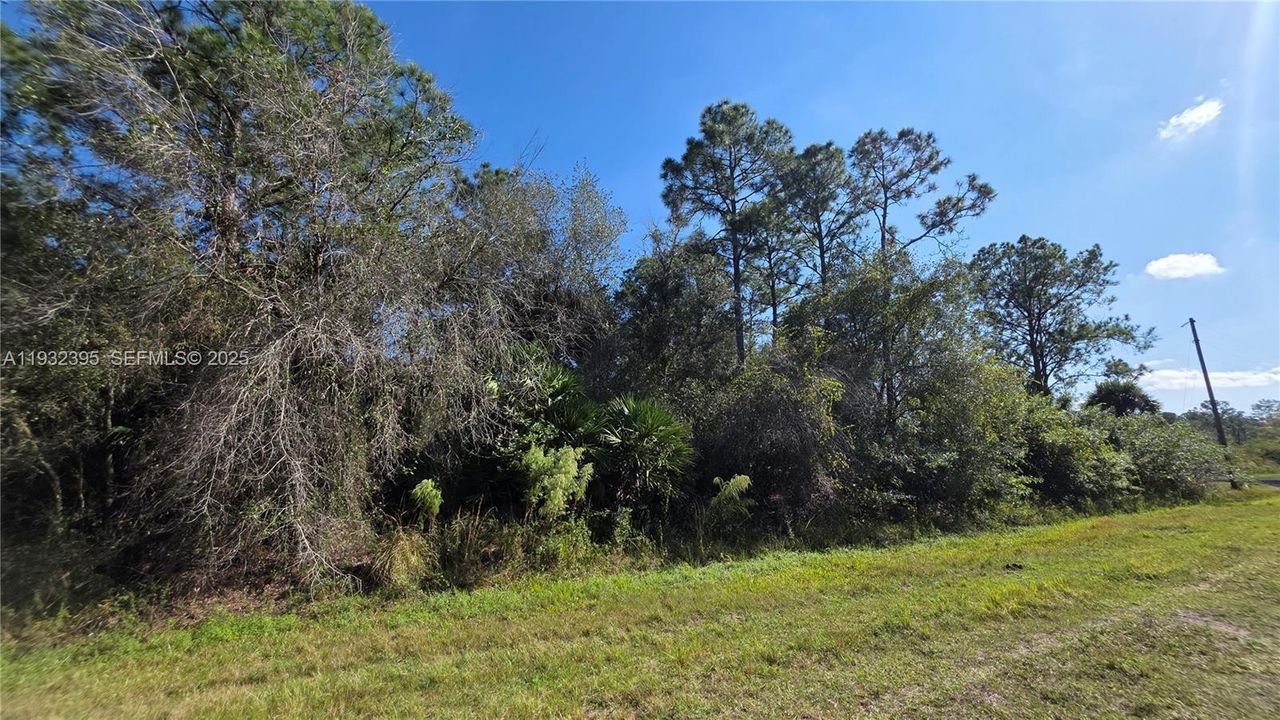 For Sale: $41,000 (1.25 acres)