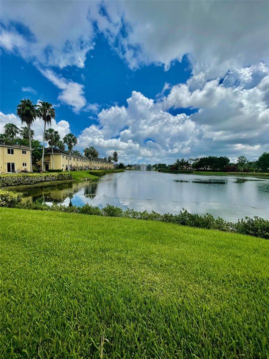 出租: $1,900 (2 贝兹, 2 浴室, 920 平方英尺)