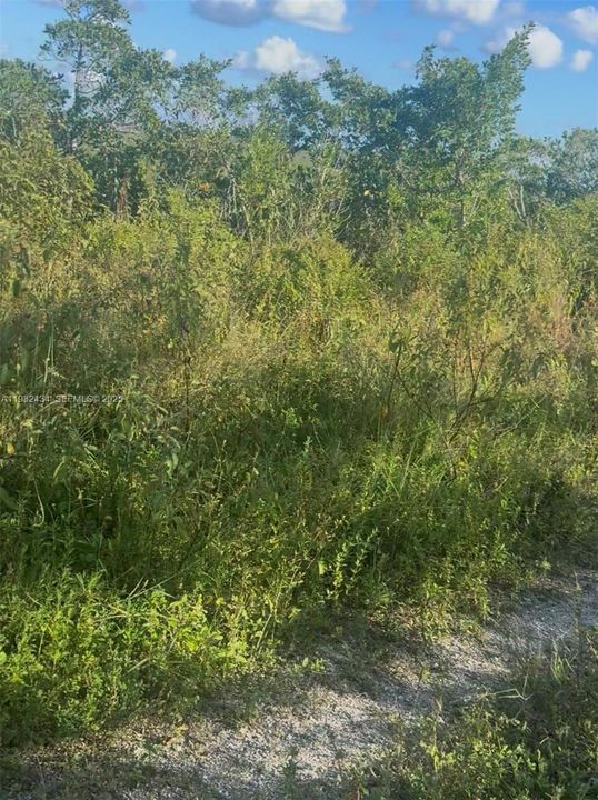 待售: $100,000 (5.00 acres)