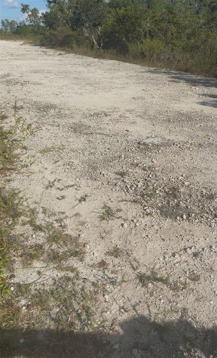 待售: $100,000 (5.00 acres)