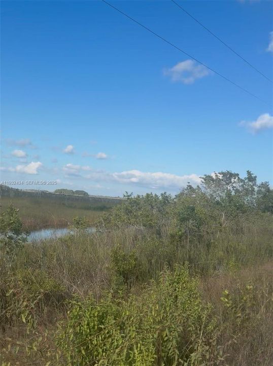 待售: $100,000 (5.00 acres)