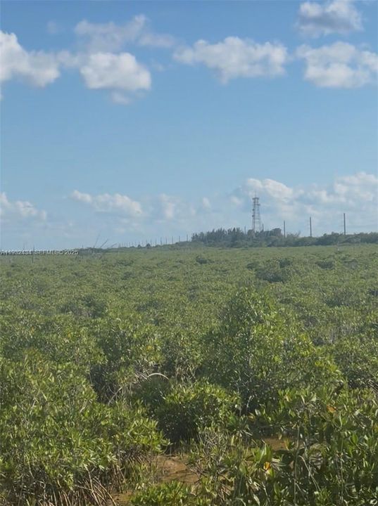 待售: $100,000 (5.00 acres)