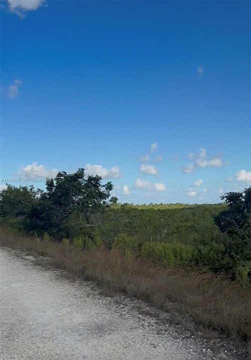 待售: $100,000 (5.00 acres)