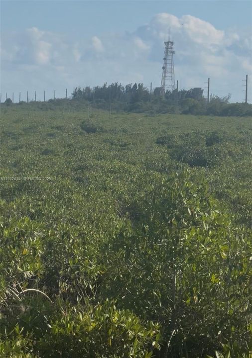 待售: $100,000 (5.00 acres)