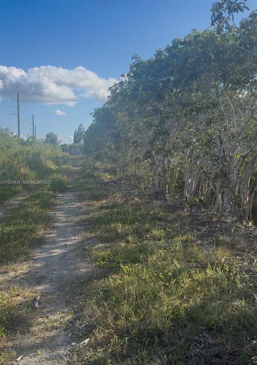 待售: $100,000 (5.00 acres)