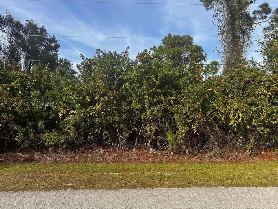 For Sale: $25,900 (0.30 acres)