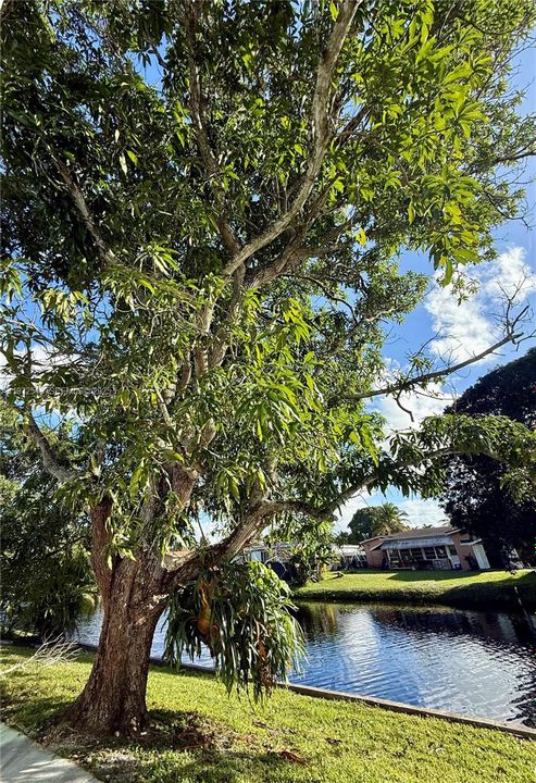 En Venta: $299,999 (2 camas, 2 baños, 1295 Pies cuadrados)