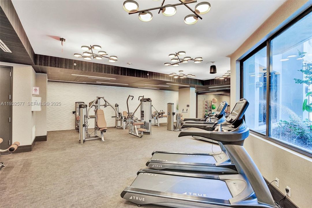 出租: $3,600 (1 贝兹, 1 浴室, 703 平方英尺)