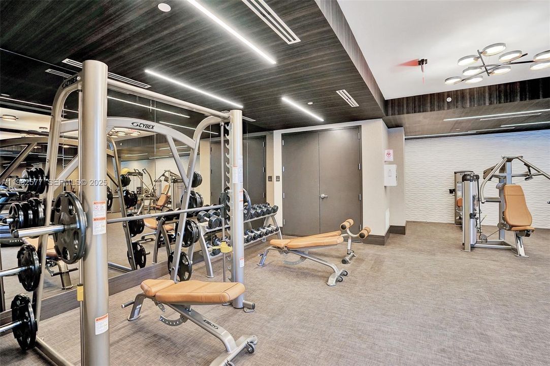 出租: $3,600 (1 贝兹, 1 浴室, 703 平方英尺)