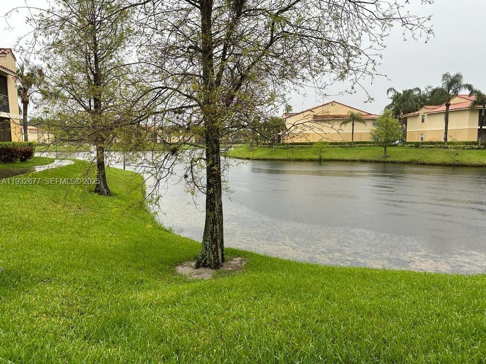 出租: $1,850 (2 贝兹, 1 浴室, 903 平方英尺)