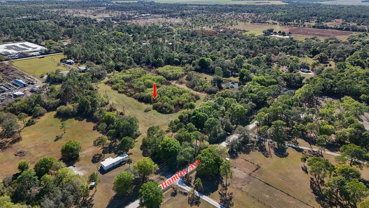 dji_fly_20260223_153556_0074_17718930838