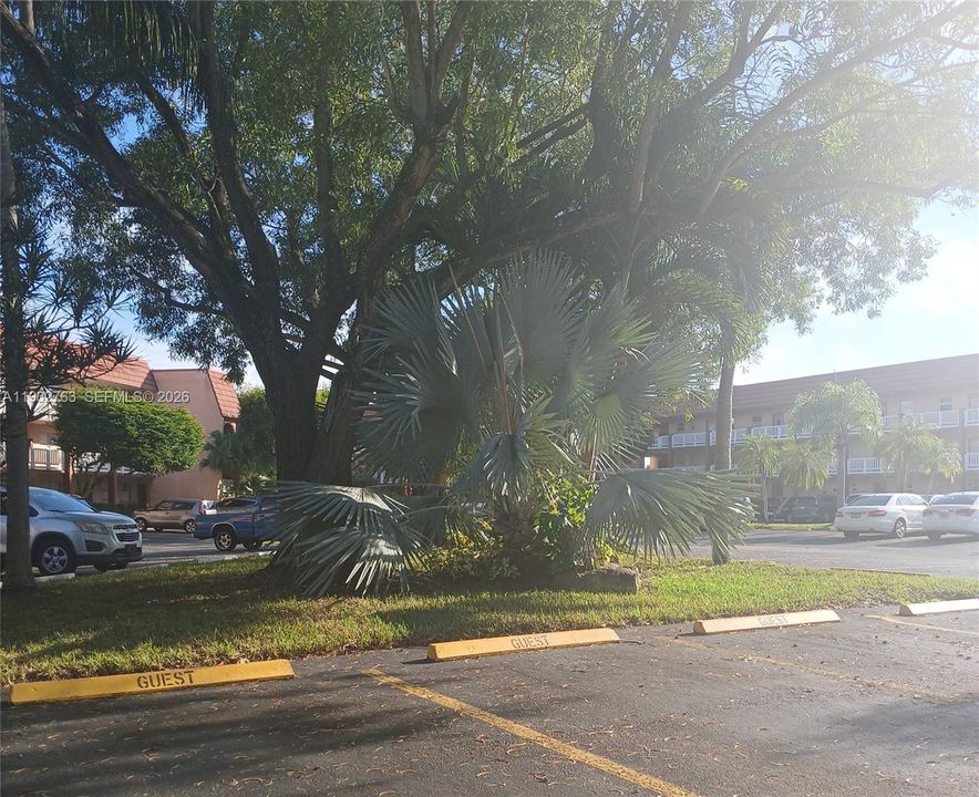 Guest parkingparking