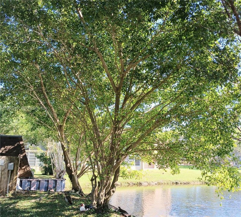 For Sale: $90,000 (1 beds, 1 baths, 640 Square Feet)