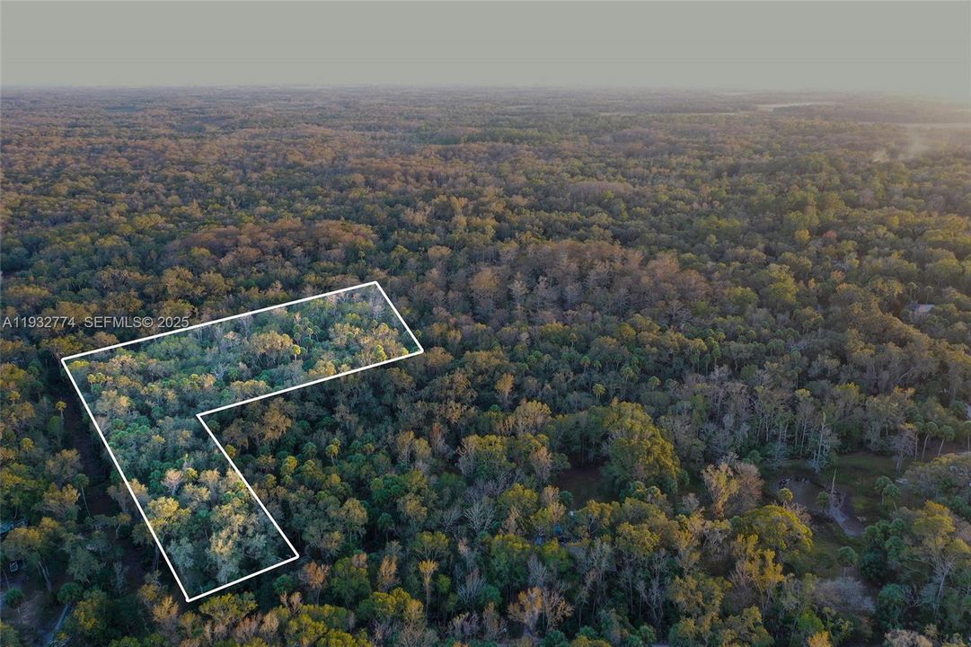 На продажу: $43,900 (1.23 acres)
