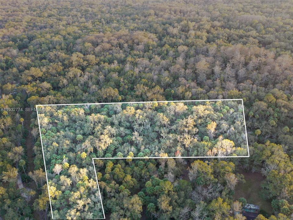 На продажу: $43,900 (1.23 acres)