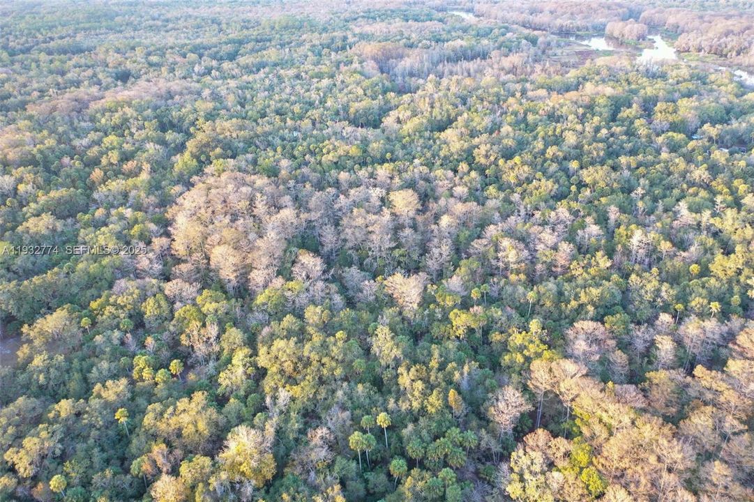 На продажу: $43,900 (1.23 acres)