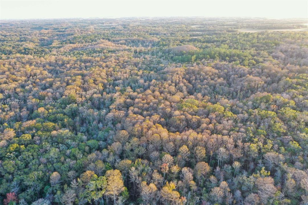 На продажу: $43,900 (1.23 acres)