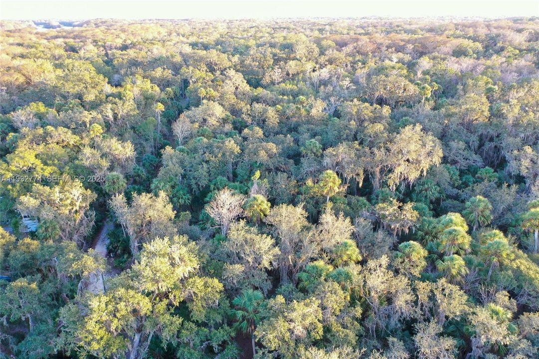 На продажу: $43,900 (1.23 acres)