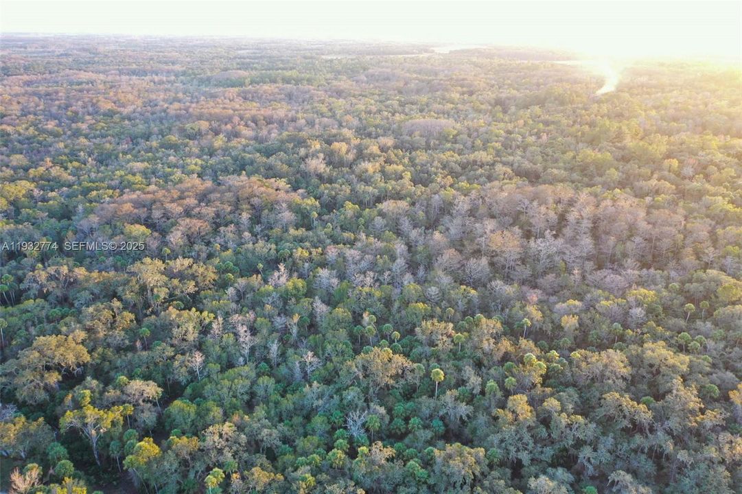 На продажу: $43,900 (1.23 acres)