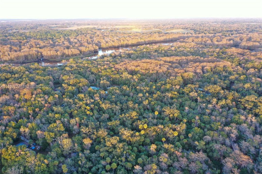 На продажу: $43,900 (1.23 acres)