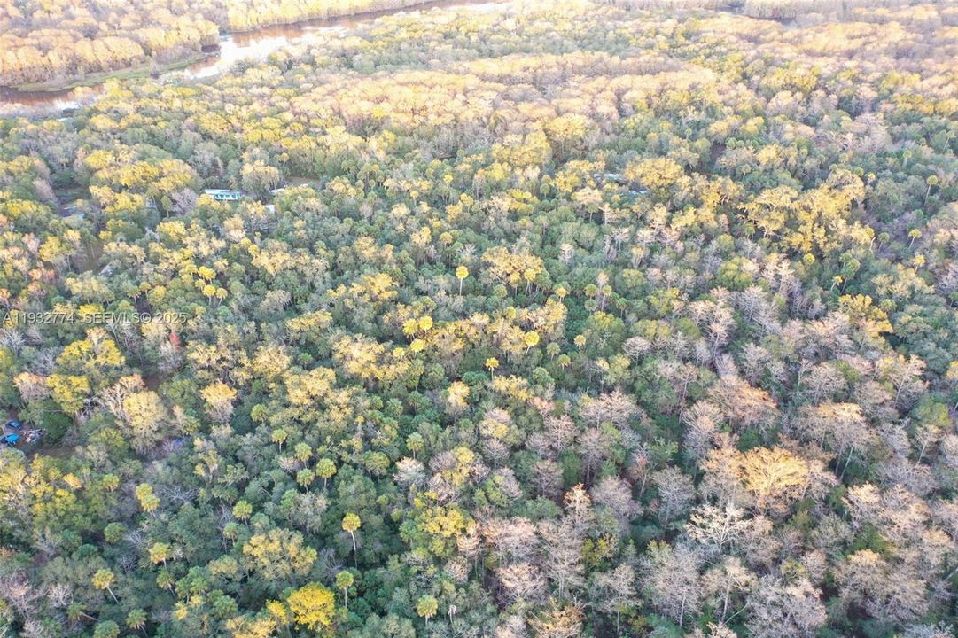 На продажу: $43,900 (1.23 acres)