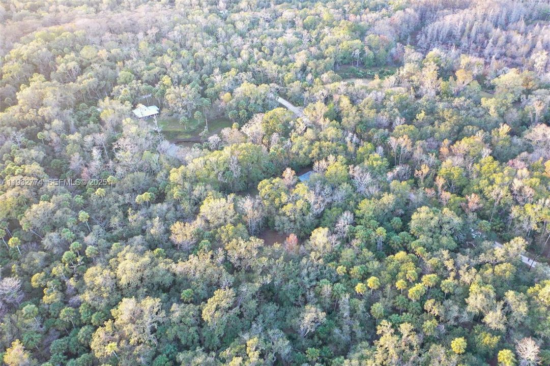 На продажу: $43,900 (1.23 acres)