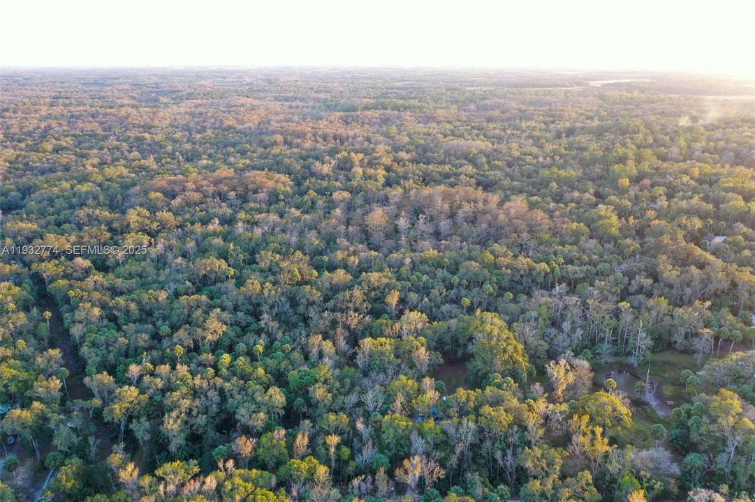 На продажу: $43,900 (1.23 acres)